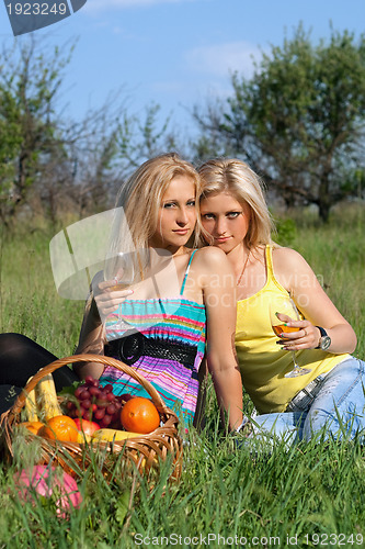 Image of Two sensual blonde with wineglasses