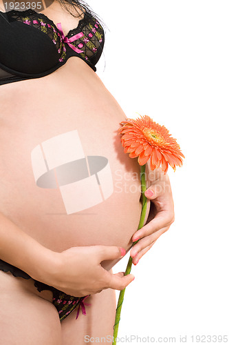 Image of Belly of a pregnant young woman. Isolated