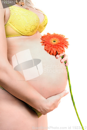 Image of Belly of a pregnant young woman with flower