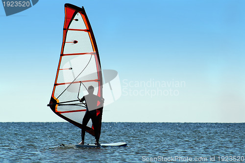 Image of Silhouette of a windsurfer on the sea