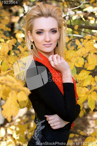 Image of blonde amongst the autumn leaves