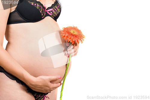 Image of Belly of a pregnant girl. Isolated