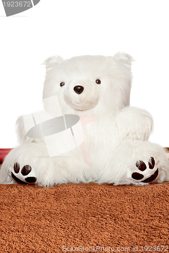 Image of Big white teddy bear