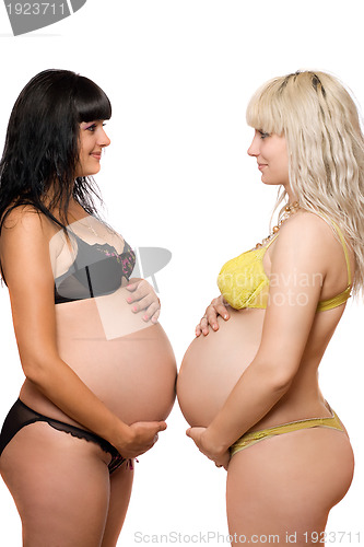 Image of Pregnant blonde and brunette. Isolated