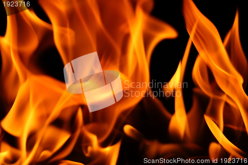 Image of Burning fire