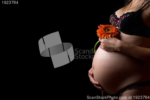 Image of Belly of a pregnant woman with flower