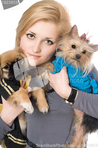 Image of Portrait of beautiful blonde with two dogs. Isolated