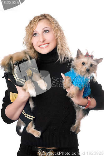 Image of Portrait of smiling pretty blonde with two dogs