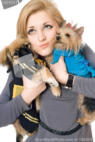 Image of Portrait of attractive young blonde with two dogs. Isolated