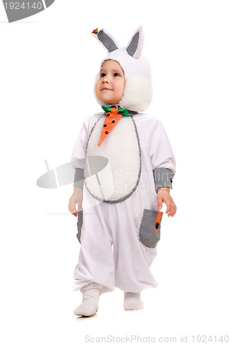 Image of Little boy dressed as bunny. Isolated