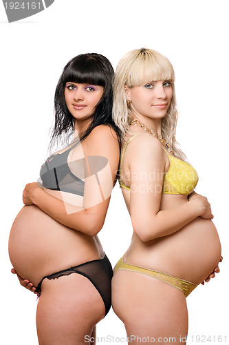 Image of Pregnant blonde and brunette. Isolated on white