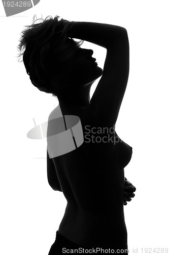 Image of Silhouette of a naked sexy girl. Isolated 