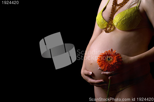 Image of Belly of a pregnant young woman with flower. Isolated