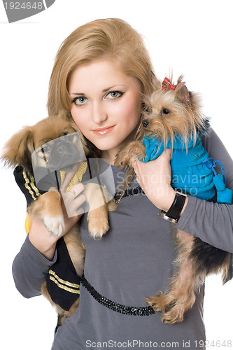 Image of Portrait of pretty blonde with two dogs. Isolated