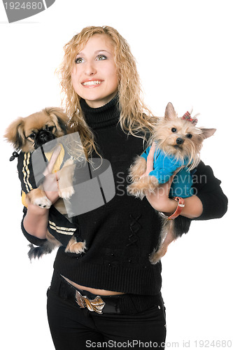 Image of Portrait of beautiful young blonde with two dogs