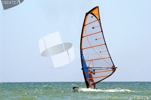 Image of windsurfer on the sea