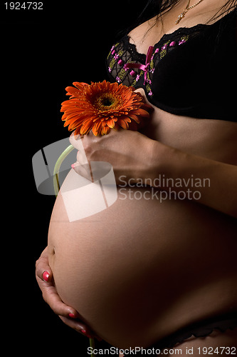 Image of Belly of a pregnant woman with flower. Isolated