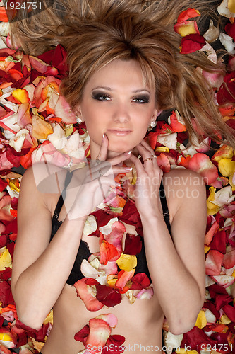 Image of beautiful blonde lying in rose petals