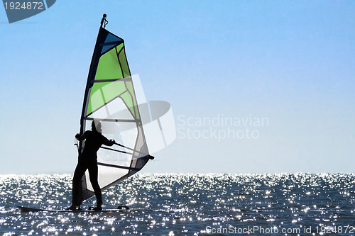 Image of Silhouette of a woman windsurfer