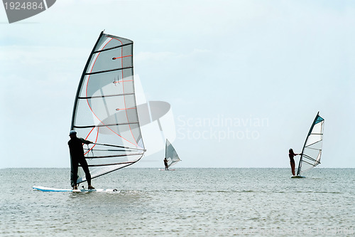 Image of Silhouettes of a three windsurfers