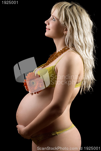 Image of Pregnant young blonde with red flower. Isolated