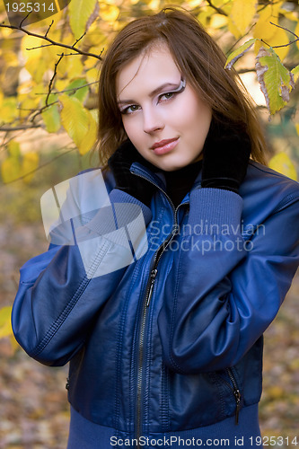 Image of  attractive girl amongst the autumn leaves