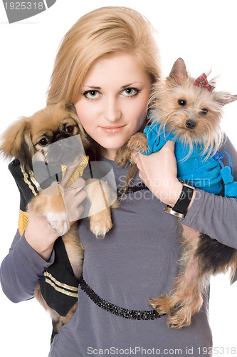 Image of Portrait of lovely blonde with two dogs