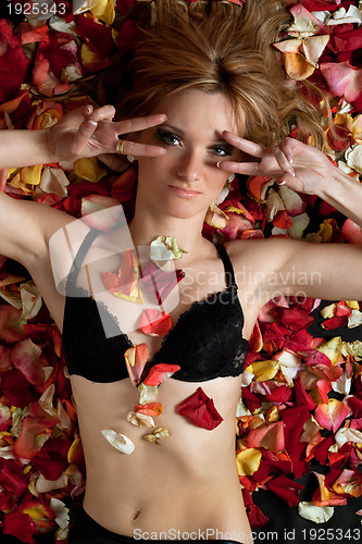 Image of Portrait of beautiful young woman