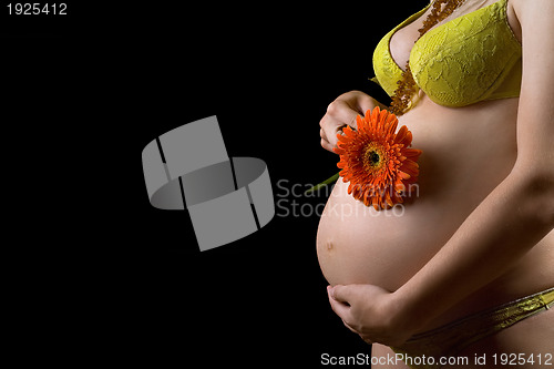 Image of Belly of a pregnant young woman with flower