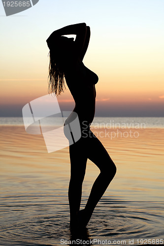 Image of Silhouette of a sexy girl 