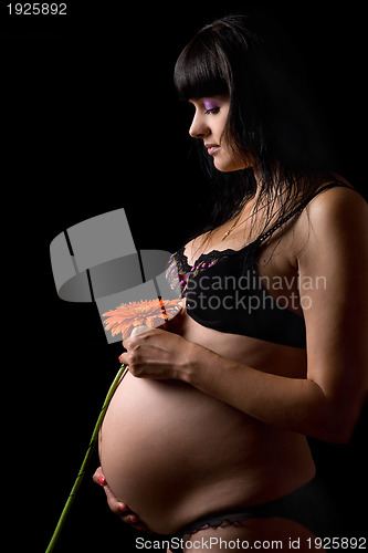 Image of Pregnant young brunette with red flower. Isolated