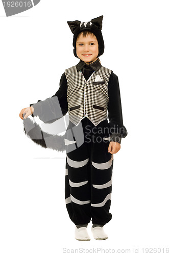 Image of Playful boy in costume cat