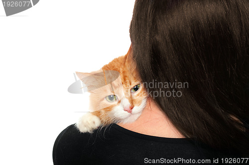 Image of Kitten on the shoulders of women