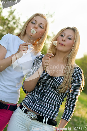 Image of Two young blonde blowing on a dandelion.