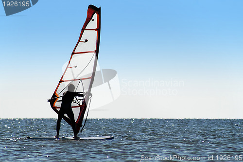 Image of Silhouette of a windsurfer on the blue sea