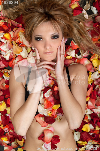 Image of  pretty blonde lying in rose petals