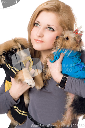 Image of Portrait of pretty young blonde with two dogs. Isolated