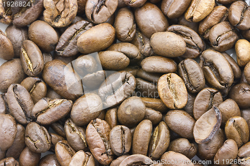 Image of coffee bean