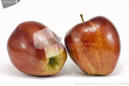 Image of Two ripe red apples