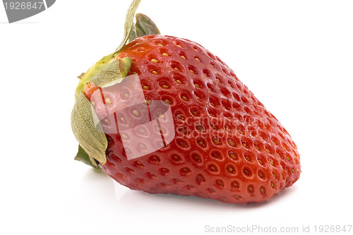 Image of single fresh red strawberry