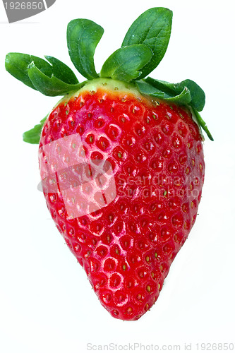 Image of fresh red strawberry 