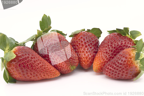 Image of strawberries group