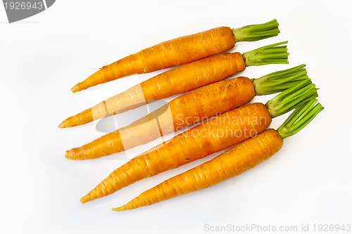 Image of fresh carrots 