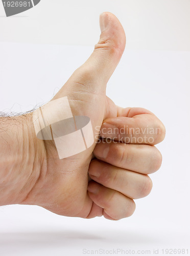 Image of ok thumb dodo