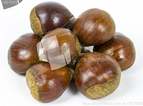 Image of Sweet chestnuts