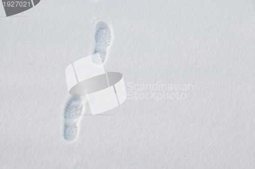 Image of Footprints