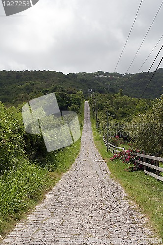 Image of Narrow mountain road.