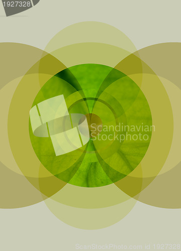 Image of Symmetrical abstract illustration