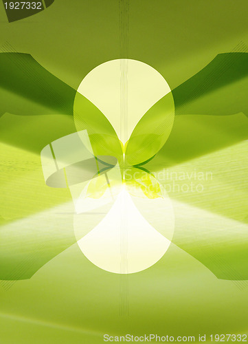 Image of Symmetrical abstract green background