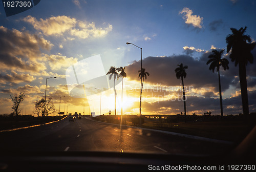 Image of Sunset and palm trees